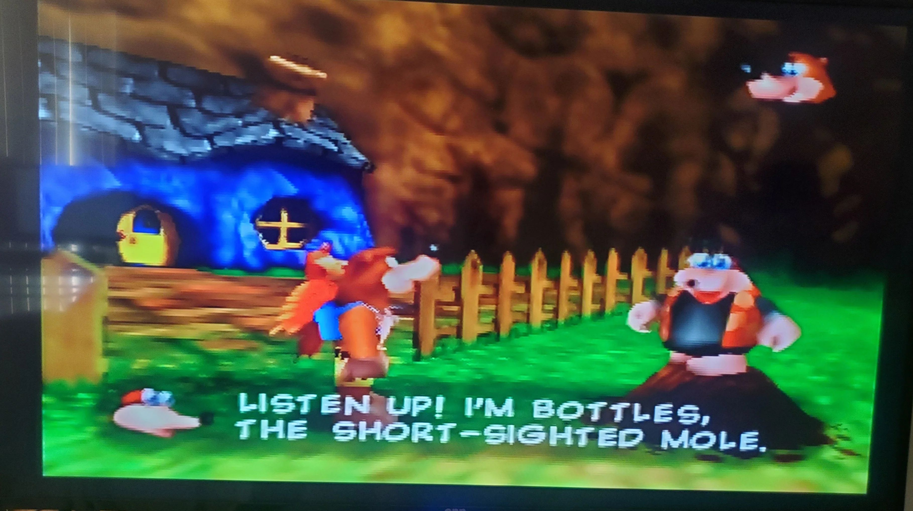 Banjo Kazooie N64 Nintendo 64 Video Game Cartridge 1998 - Image 5