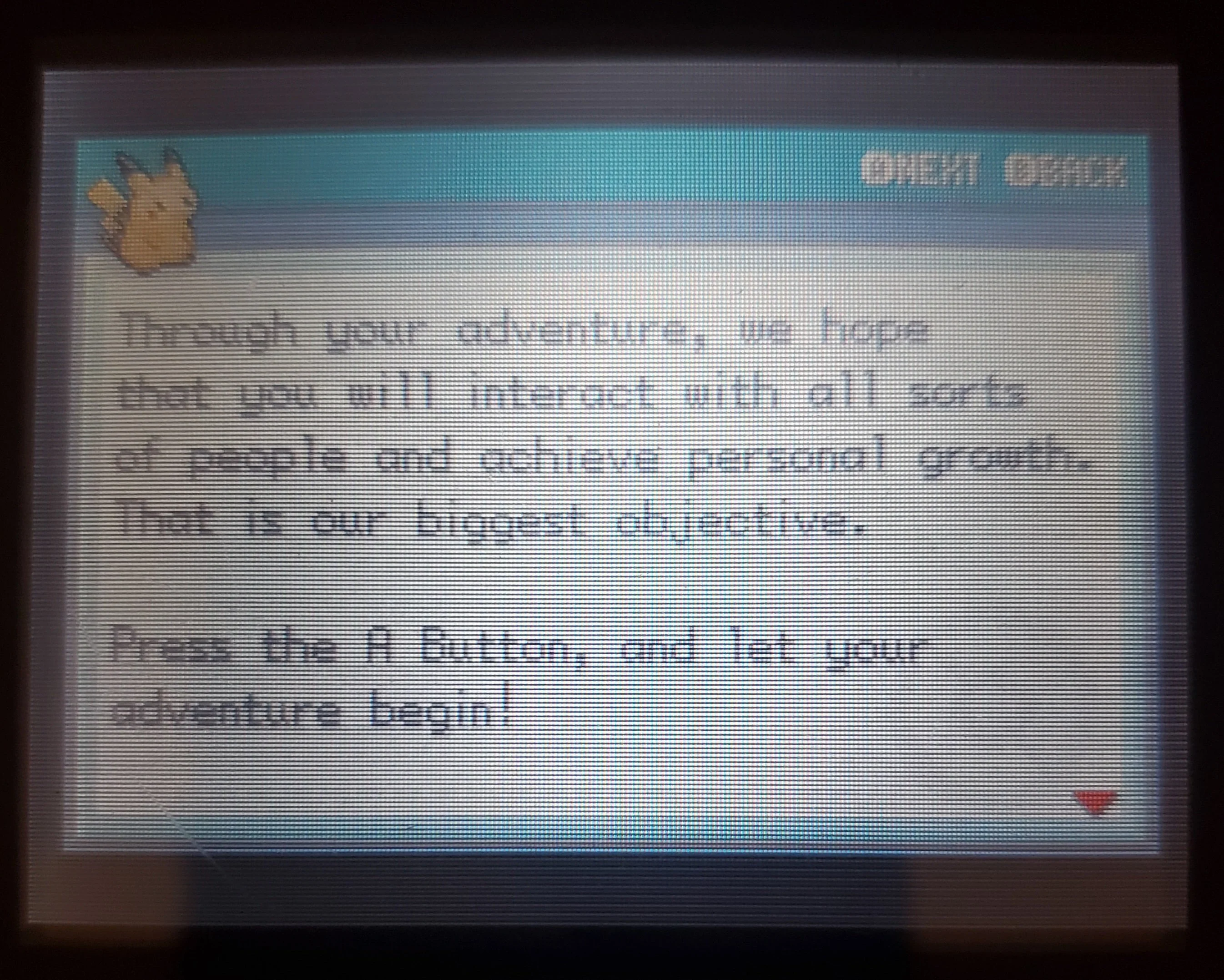 Pokemon Fuligin GBA ROM Hack Video Game Custom Gameboy Advance - Image 8